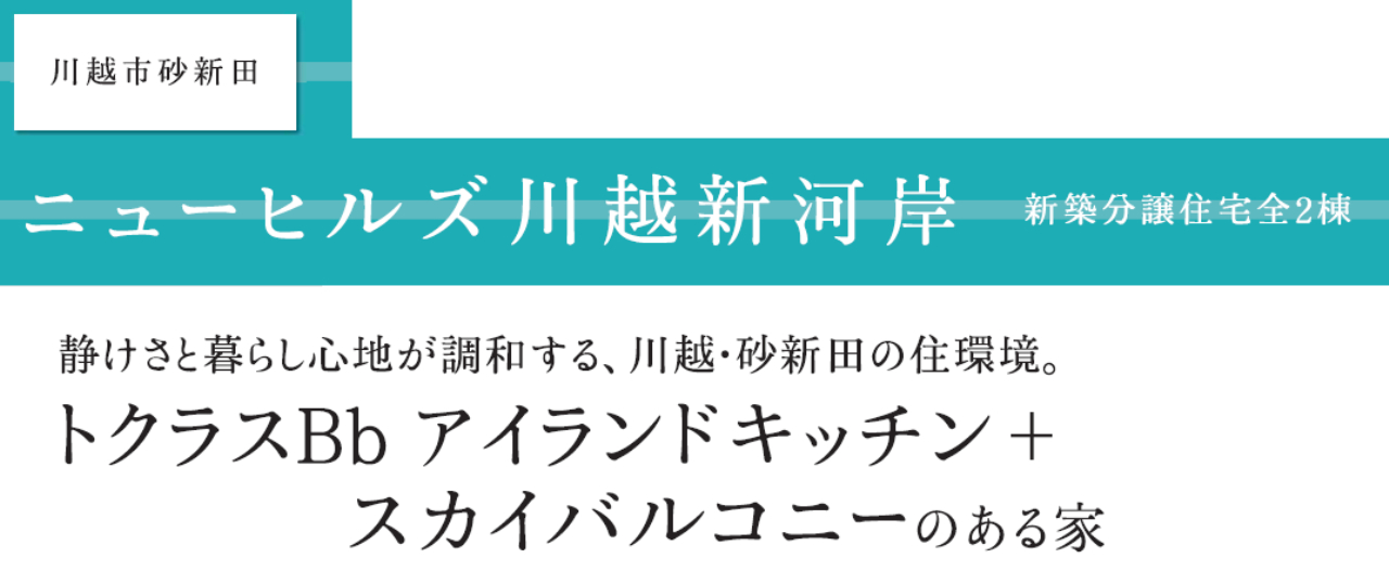 ニューヒルズ川越砂新田　新一戸建て　仲介手数料無料_画像4