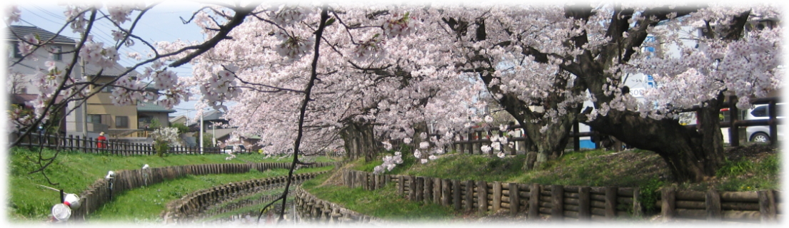 小江戸川越春の舟遊