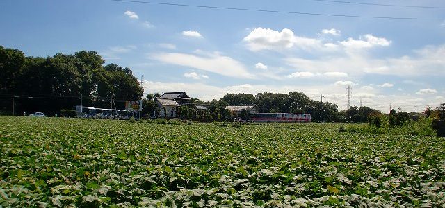 生産緑地の2022年問題。